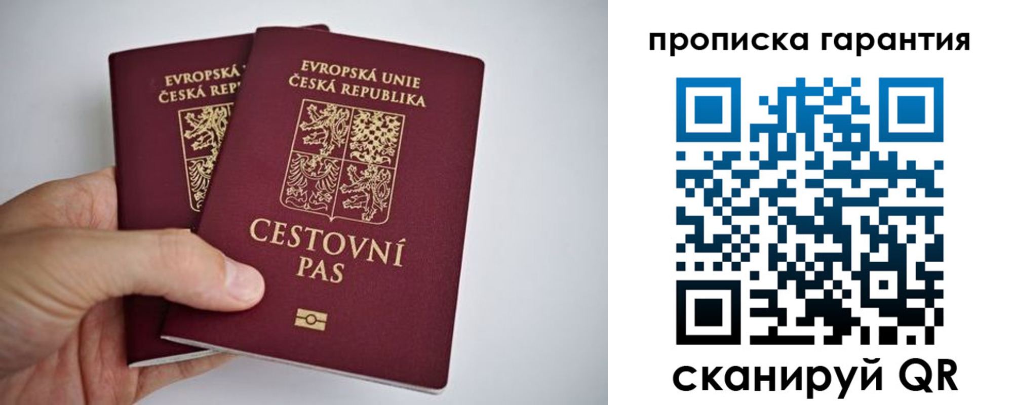 прописка в Щиграх
